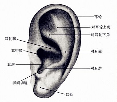 副耳切除手術(shù)怎么樣的