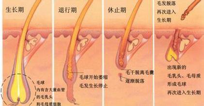 武漢冰點(diǎn)脫毛的效果可以維持多久?